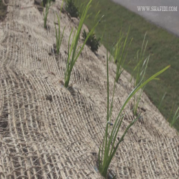 JUTE SOIL SAVER / GEO JUTE TEXTILE & JUTE EROSION CONTROL CLOTH